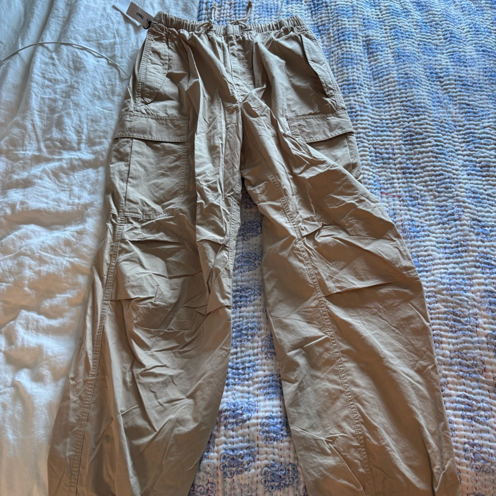 Aritzia Cargo Pant
